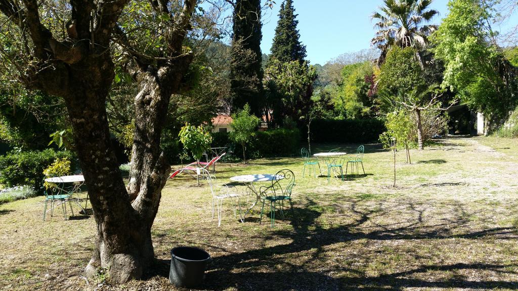 Le Clos du Loup La Colle-sur-Loup Extérieur photo